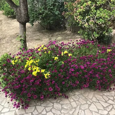 Apartamento My Heart House *