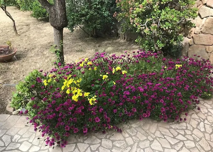 Appartement My Heart House *